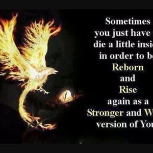 Meet your Posher, Johnny